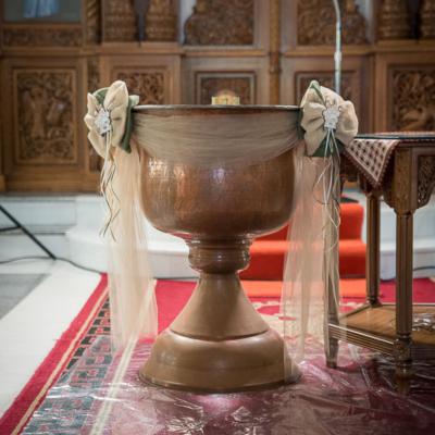 Oneiraki Jungle Animals 106