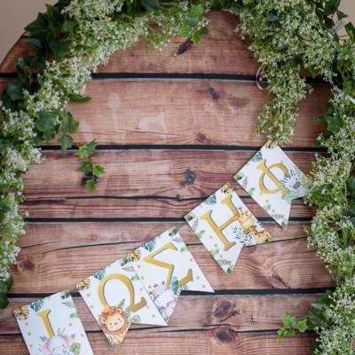 Ζωάκια της ζούγκλας