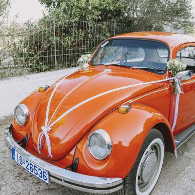 Oneiraki Minimal Wedding 101