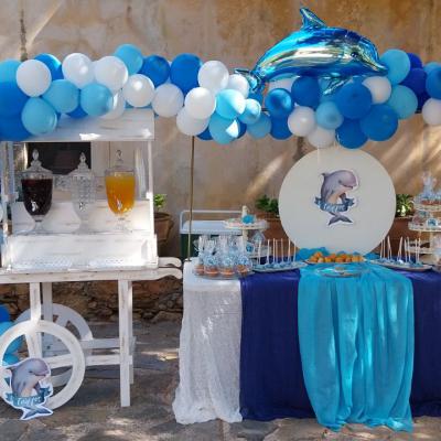 Oneiraki Dolphin 101