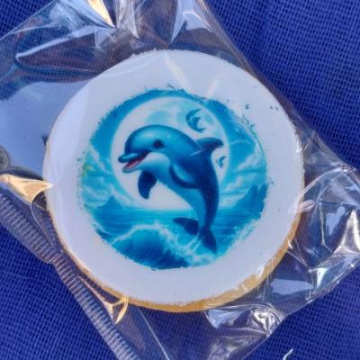 Oneiraki Dolphin 105